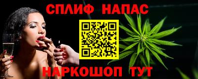 СК Рязань