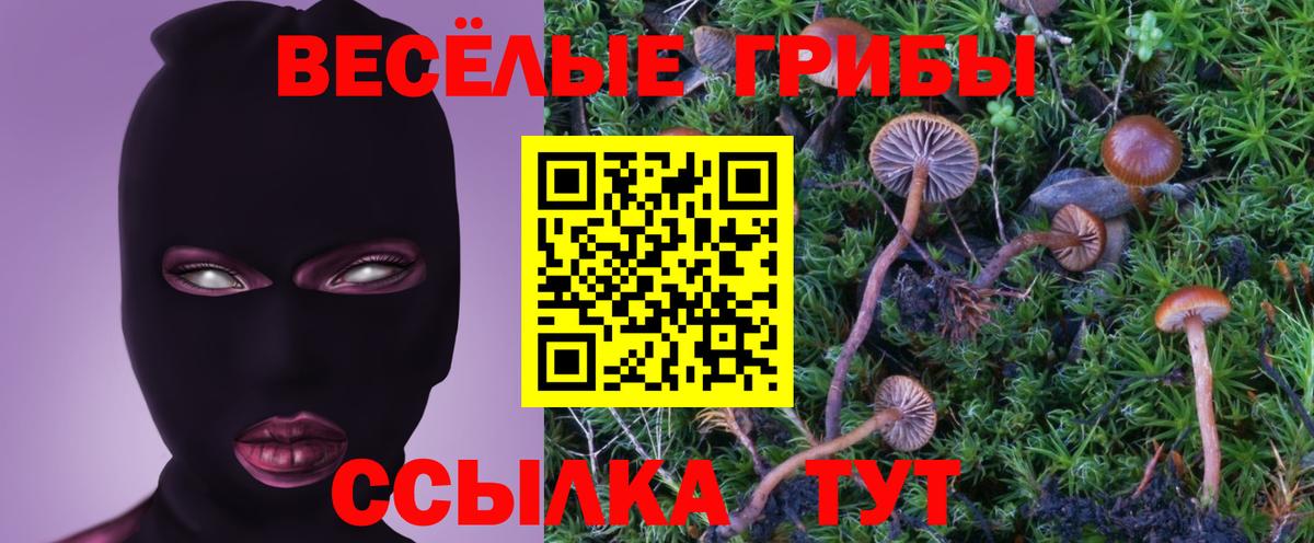 наркота  Галлюциногенные грибы Cubensis  Вход с VPN  Ангарск 